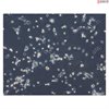 <b>NEW!</b> Human Pluripotent Stem Cell Derived-Sensory Neurons