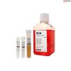 Human Mesangial Cell Medium-basal, 2x 500 ml