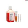 Mesenchymal Stem Cell Medium-phenol red free, 2x 500 ml