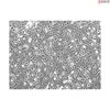 CF1 Mouse Embryonic Fibroblasts-Mitomycin C Treated
