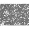 C57BL/6, Mouse Neurons-cortical, Passage 0