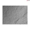 C57BL/6 Mouse Schwann Cells