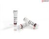 Recombinant yeast SUMO Protease