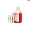 Human Smooth Muscle Cell Medium-complete, 2x 500 ml