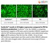 Susfectin™ Transfection Reagent