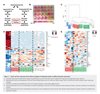 Immortalized Preadipocyte Clonal Cell Line PGF2-5; Type 3