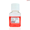 Transfection Max Medium